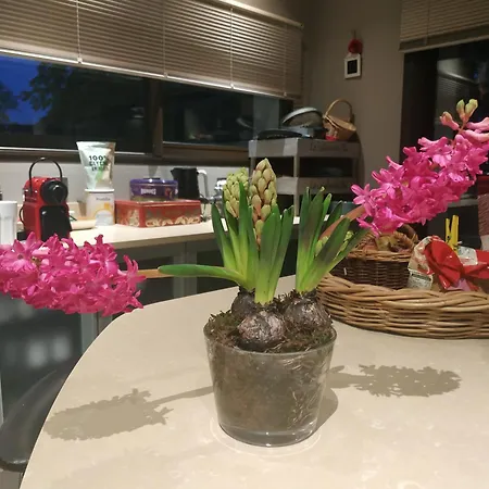 アパート Campagne En