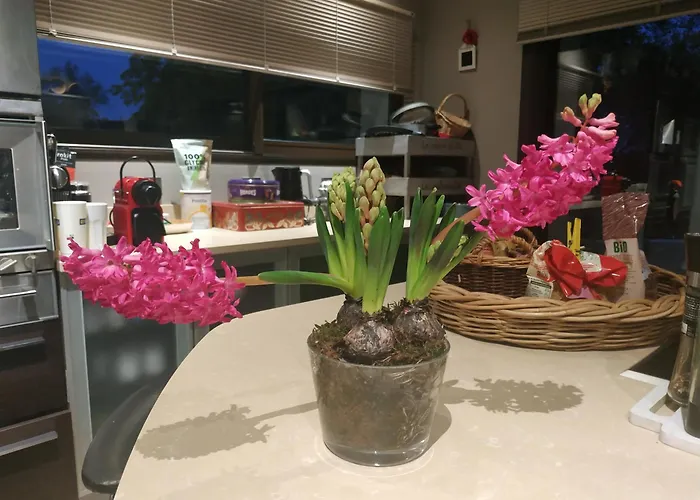 Apartament Campagne En